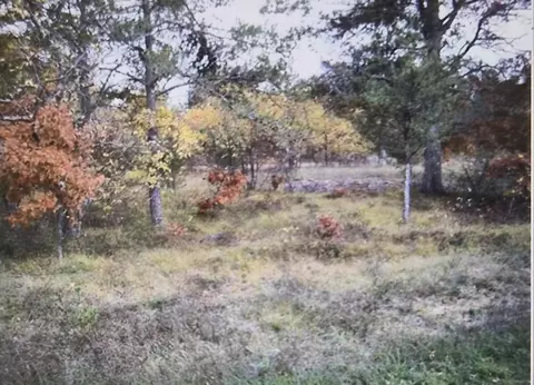 lot4 Northwood Dr, Grayling, MI 49738