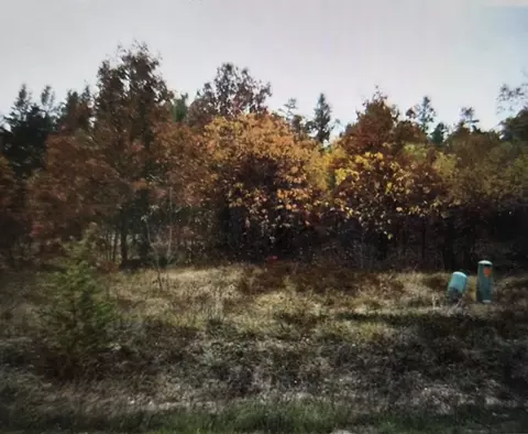 lot6 Northwood Dr, Grayling, MI 49738