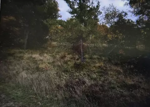 lot7 Northwood Dr, Grayling, MI 49738