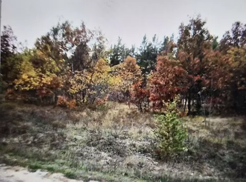 lot8 Northwood Dr, Grayling, MI 49738