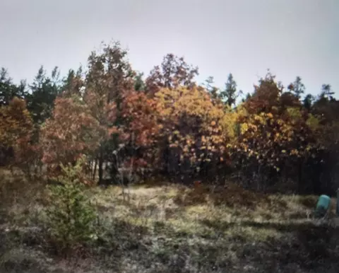 lot9 Northwood Dr, Grayling, MI 49738