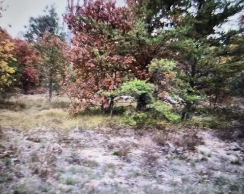 lot10 Northwood Dr, Grayling, MI 49738