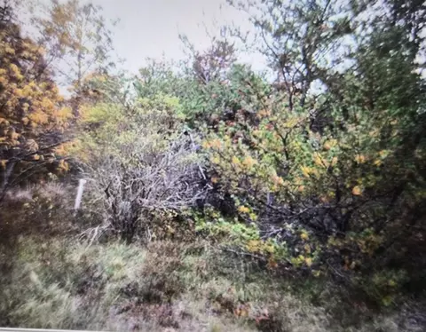lot13 Northwood Dr, Grayling, MI 49738