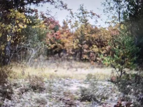 lot14 Northwood Dr, Grayling, MI 49738