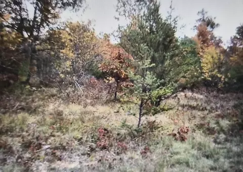 lot16 Northwood Dr, Grayling, MI 49738