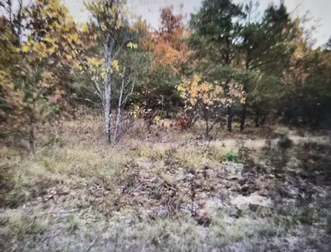 lot17 Northwood Dr, Grayling, MI 49738