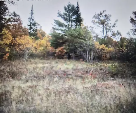 lot19 Northwood Dr, Grayling, MI 49738