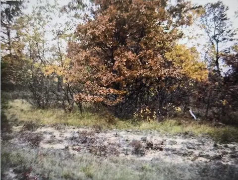 lot20 Northwood Dr, Grayling, MI 49738