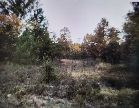 lot21 Northwood Dr, Grayling, MI 49738