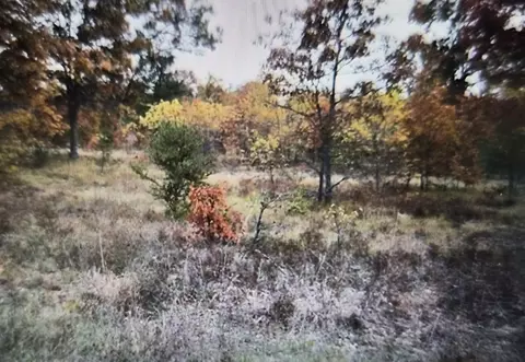 lot24 Northwood Dr, Grayling, MI 49738