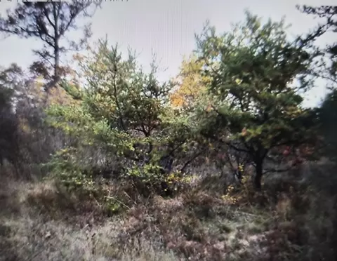 lot25 Northwood Dr, Grayling, MI 49738