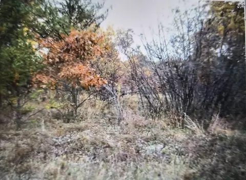 lot26 Northwood Dr, Grayling, MI 49738