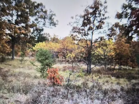lot27 Northwood Dr, Grayling, MI 49738