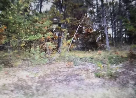 lot28 Northwood Dr, Grayling, MI 49738