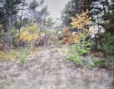 lot29 Northwood Dr, Grayling, MI 49738