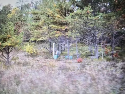 lot30 Northwood Dr, Grayling, MI 49738