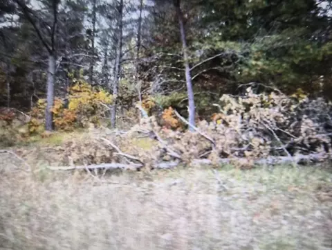 lot31 Northwood Dr, Grayling, MI 49738