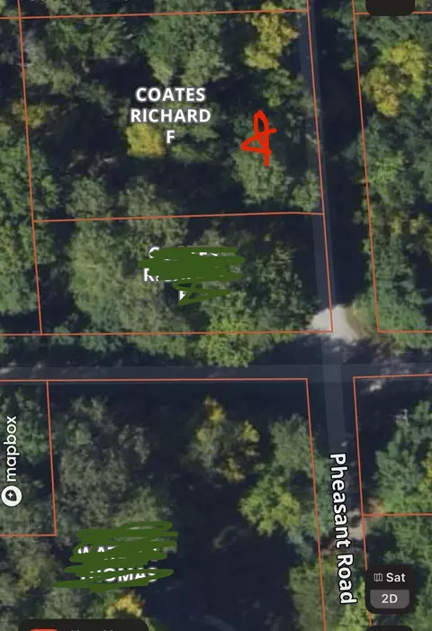 lot S 2-3 Pheasant Rd, Lincoln, MI 48742