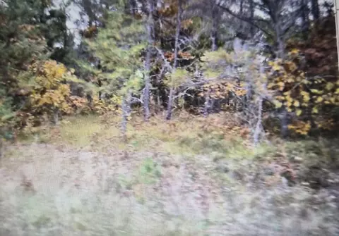 lot32 Northwood Dr, Grayling, MI 49738