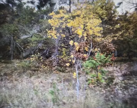 lot33 Northwood Dr, Grayling, MI 49738