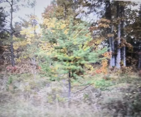 lot36 Northwood Dr, Grayling, MI 49738