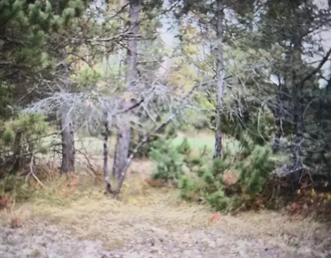 lot39 Northwood Dr, Grayling, MI 49738