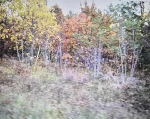 lot40 Northwood Dr, Grayling, MI 49738