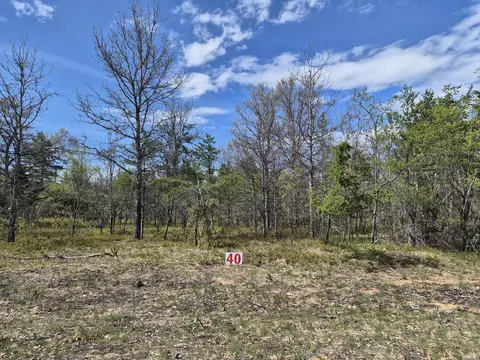 lot40 Northwood Dr, Grayling, MI 49738