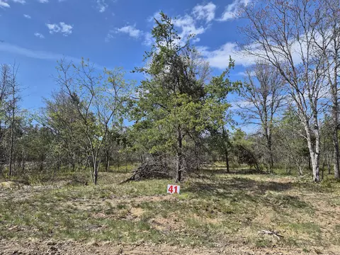 lot41 Northwood Dr, Grayling, MI 49738