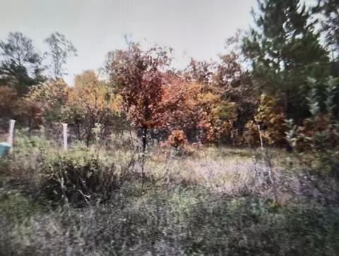 lot41 Northwood Dr, Grayling, MI 49738