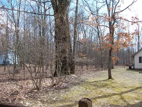 Exterior - 134 Bourbon St, Roscommon, MI 48653 photo 3 of 8