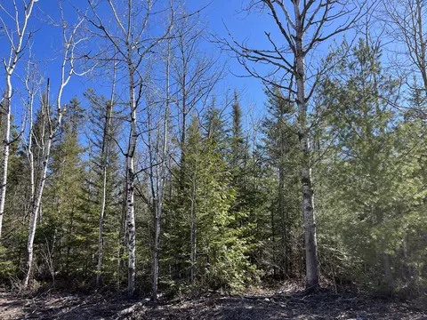 L 251-252 Pineview Drive, Presque Isle, MI 49777