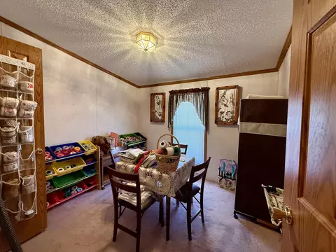 Other - 305 Cedar St, Cheboygan, MI 49721 photo 3 of 11