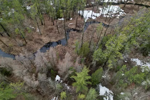 lot664 Fantasy Dr, Frederic, MI 49733 photo 3