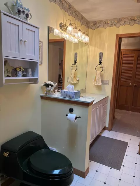 Bath - 14911 Kings Ln, Ocqueoc, MI 49759 photo 2 of 7