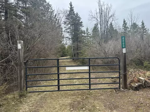 4200 Bloom Rd, Alpena, MI 49707