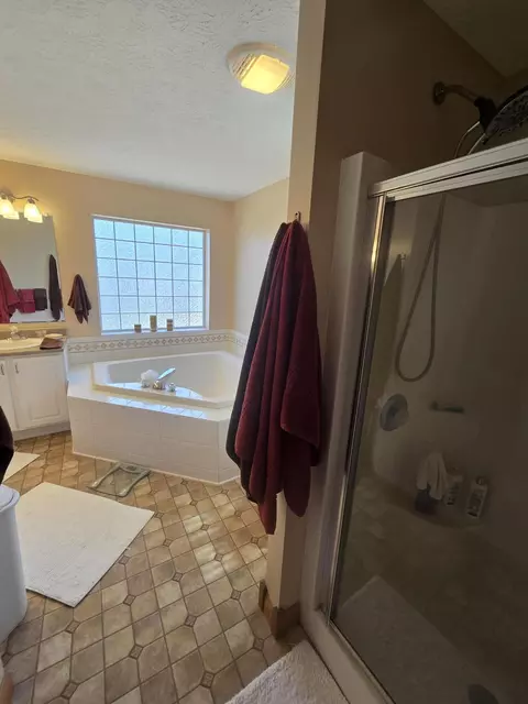 Bath - 521 W 5th St, Mio, MI 48647 photo 3 of 8
