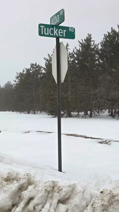 Par A-B Tucker Road #PARCELS A & B, Elmira, MI 49730