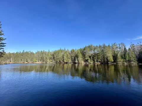 26 Ac Connon Rd #26 ACRES, Hillman, MI 49746