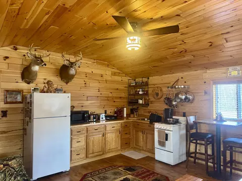 Kitchen - 1304 Tabitha Trail Apt 10- Acres Trl #10+/- ACRES, Mio, MI 48647 photo 1 of 1
