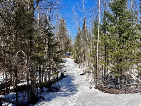 40 44 Ac Zolner Rd #40.44 ACRES, Cheboygan, MI 49721