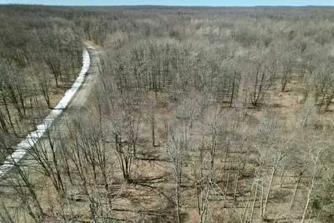 363 Wyndwood Dr, Mancelona, MI 49659