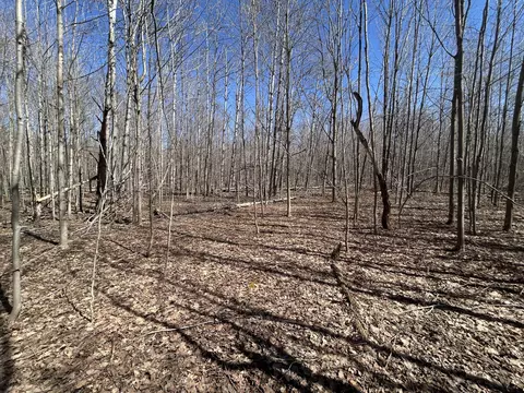 lot738 Pine Run, Elmira, MI 49730