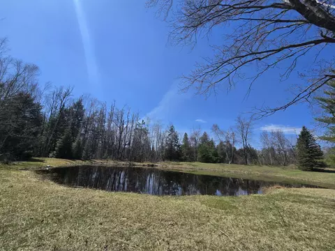 Other - 3625 Weaver Rd, Comins, MI 48619 photo 1 of 23