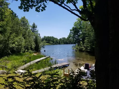 View/Area - 687 Harbor View Dr, Mio, MI 48647 photo 2 of 4