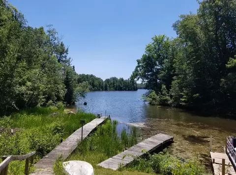 View/Area - 687 Harbor View Dr, Mio, MI 48647 photo 3 of 4