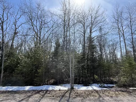 lot34 Pine St, Presque Isle, MI 49777