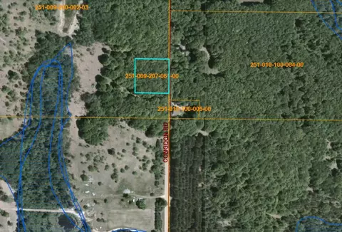113200 Congdon Rd, Wolverine, MI 49799 photo 4