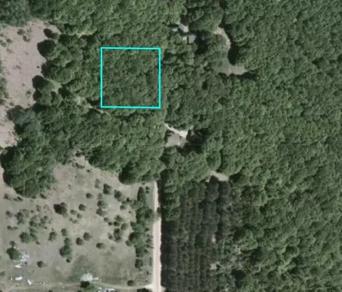 113200 Congdon Rd, Wolverine, MI 49799 photo 2