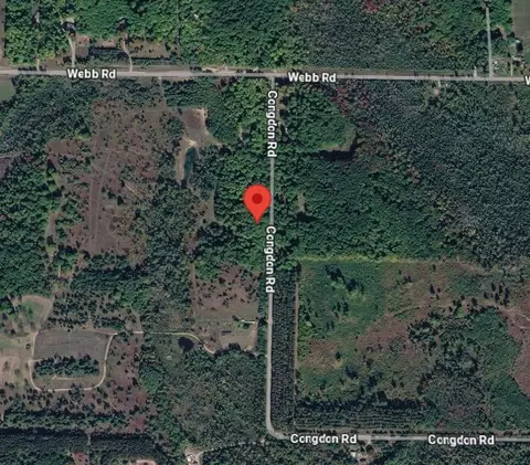 113200 Congdon Rd, Wolverine, MI 49799 photo 3